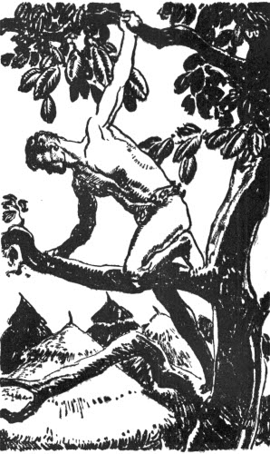 Tarzan waited on