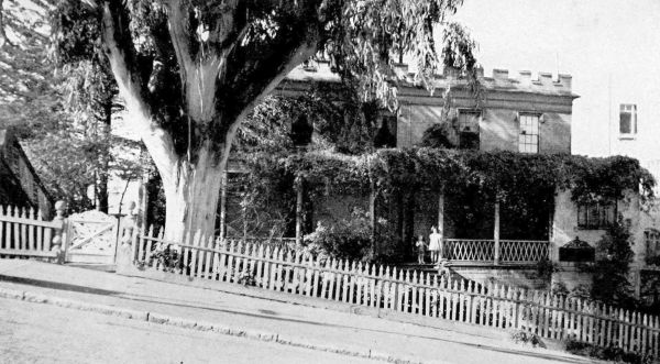 vine-covered house on steep streetfront