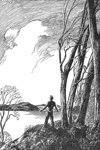 black and white line drawing of man standing under trees beside lake with arms outstretched