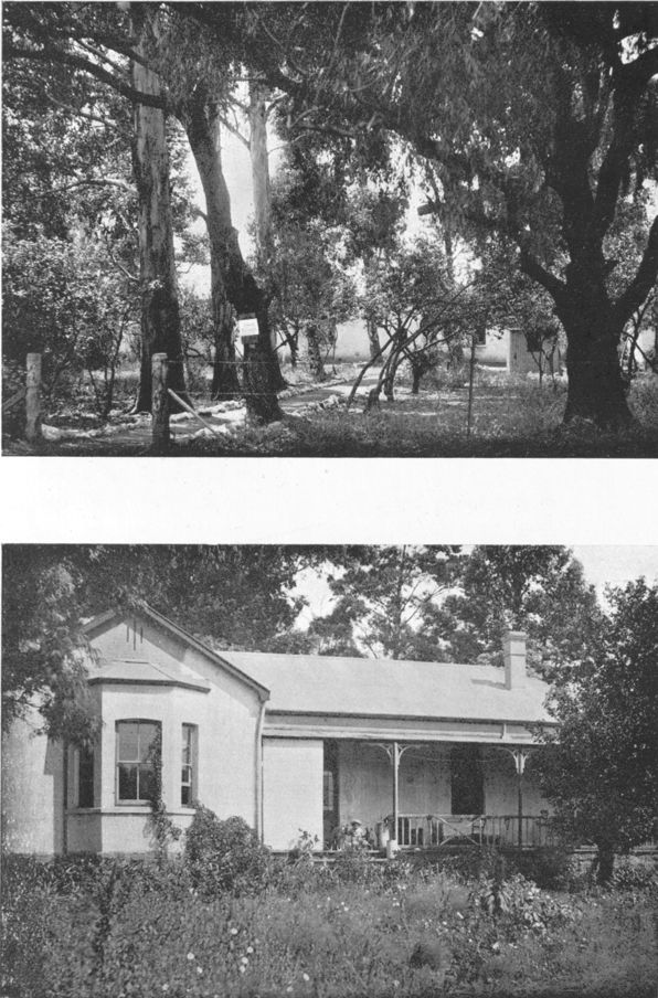 two views of a house among trees