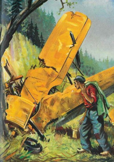 farmer looking at smashed up yellow plane next to a tree