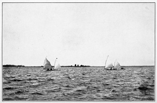 two sailboats racing on lake