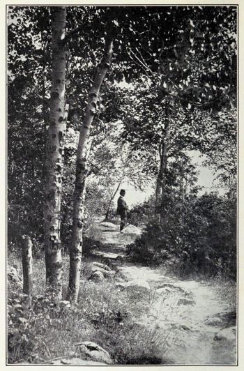 man in suit on walking path looking down at bay
