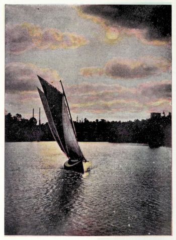 sailboat on lake with Collingwood shoreline in background