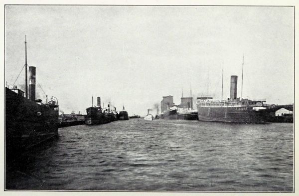harbour lined with steamships and freighters