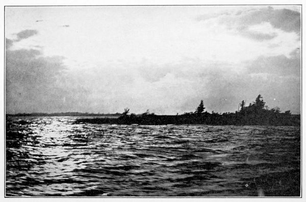 flat tree-covered island in middle of bay