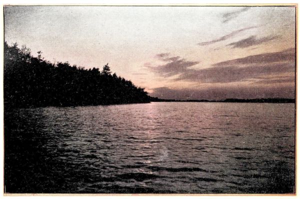 sunset over tree-lined lake