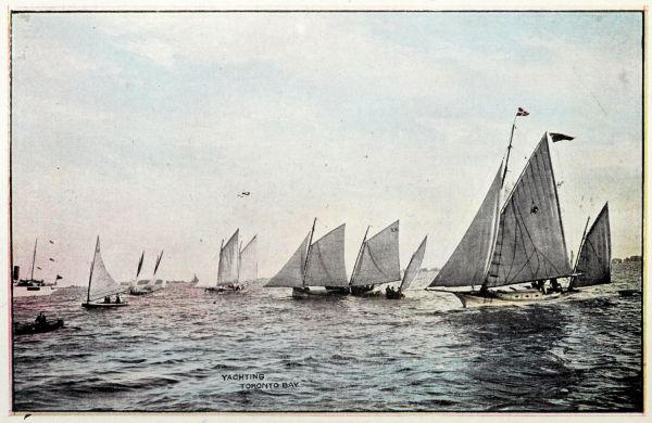 close-up of 8 yachts on water