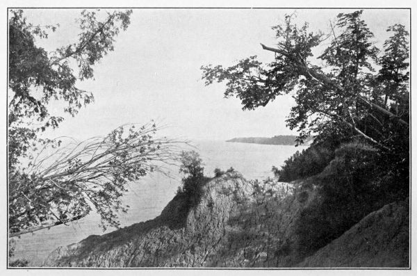 view of Lake Huron from top of shoreline