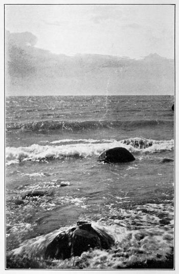 beach with large rocks in the water
