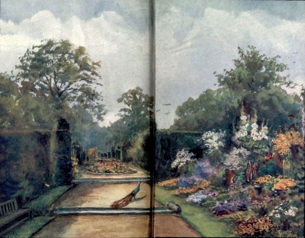 watercolor of garden drive with hedge on left and flowers on right with peacock in the drive