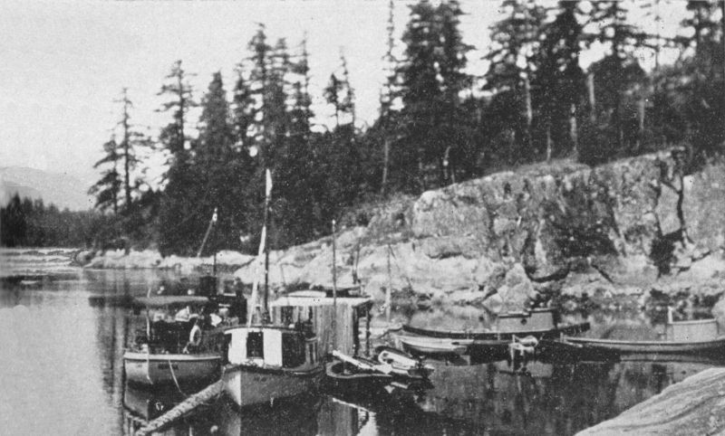 Photo of several small watercraft moored next to a rocky shore.