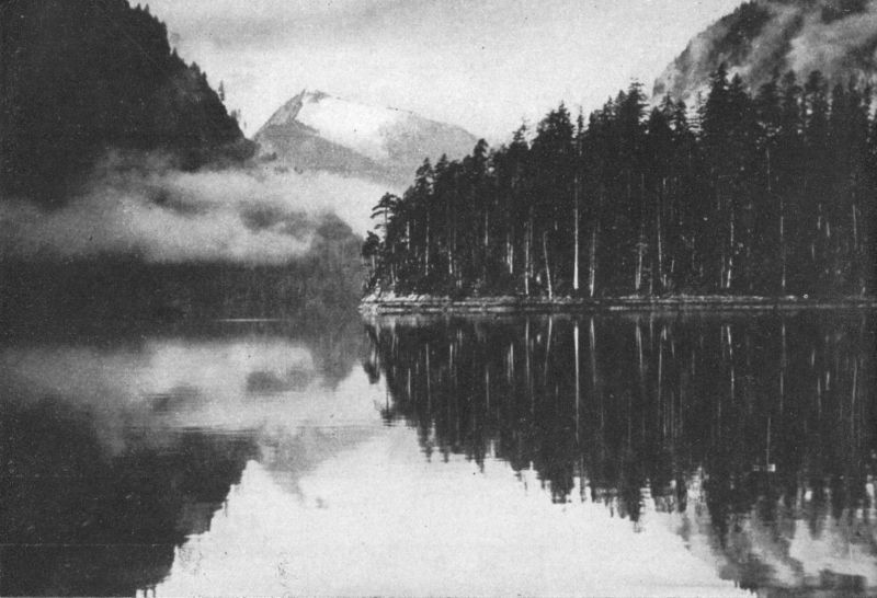 Photo of fog alongside the treed shoreline with mountains rising in the background.
