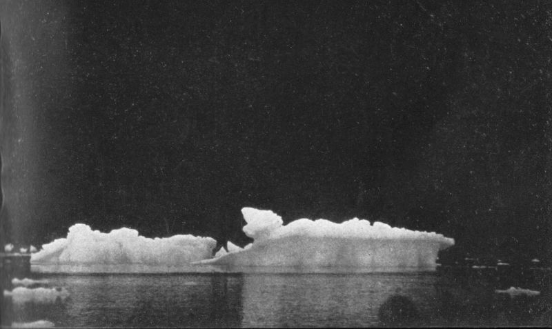 Photo of small icebergs in the water.