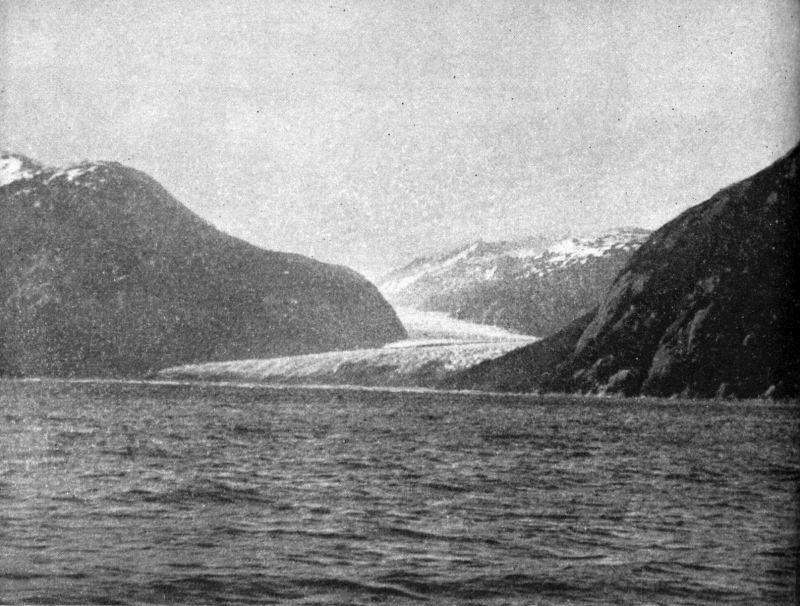 Photo of a glacier flowing into the sea.