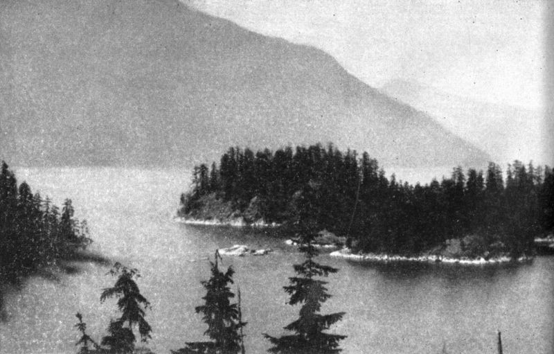 Photo of small, wooded islands scattered in an inlet.