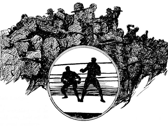 two boxers