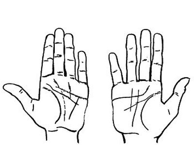 left and right hands open palms