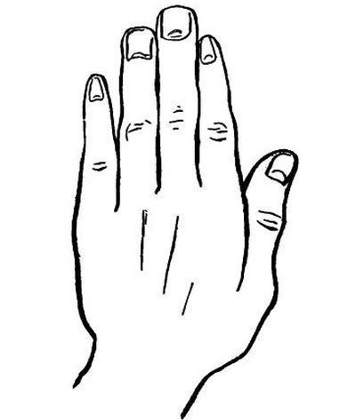 left hand palm down showing fingertips square or pointed