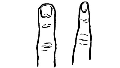 two fingers: one is straight and square and the other is tapered and pointed