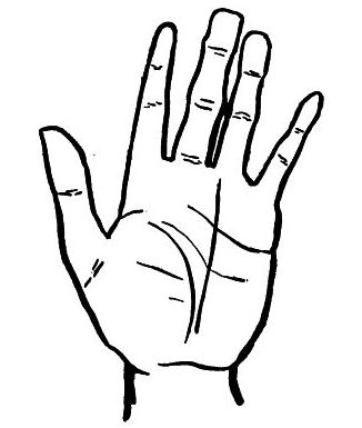 left hand, palm open with smooth and knotty joints on fingers